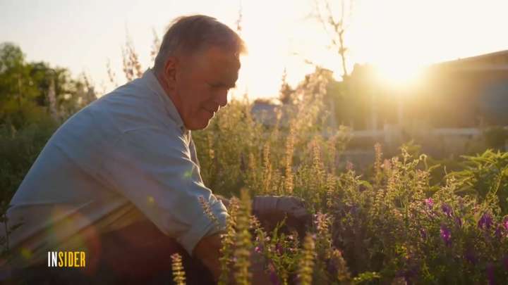 BYU Radio: Constant Wonder