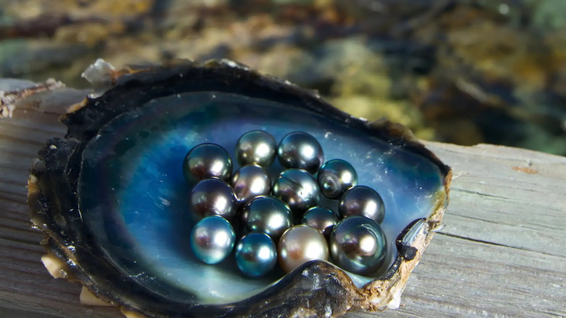 How to Farm a Pearl