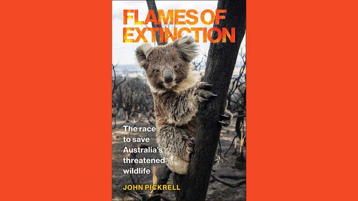 Flames of Extinction