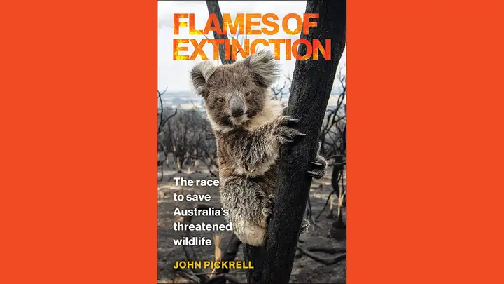 Flames of Extinction