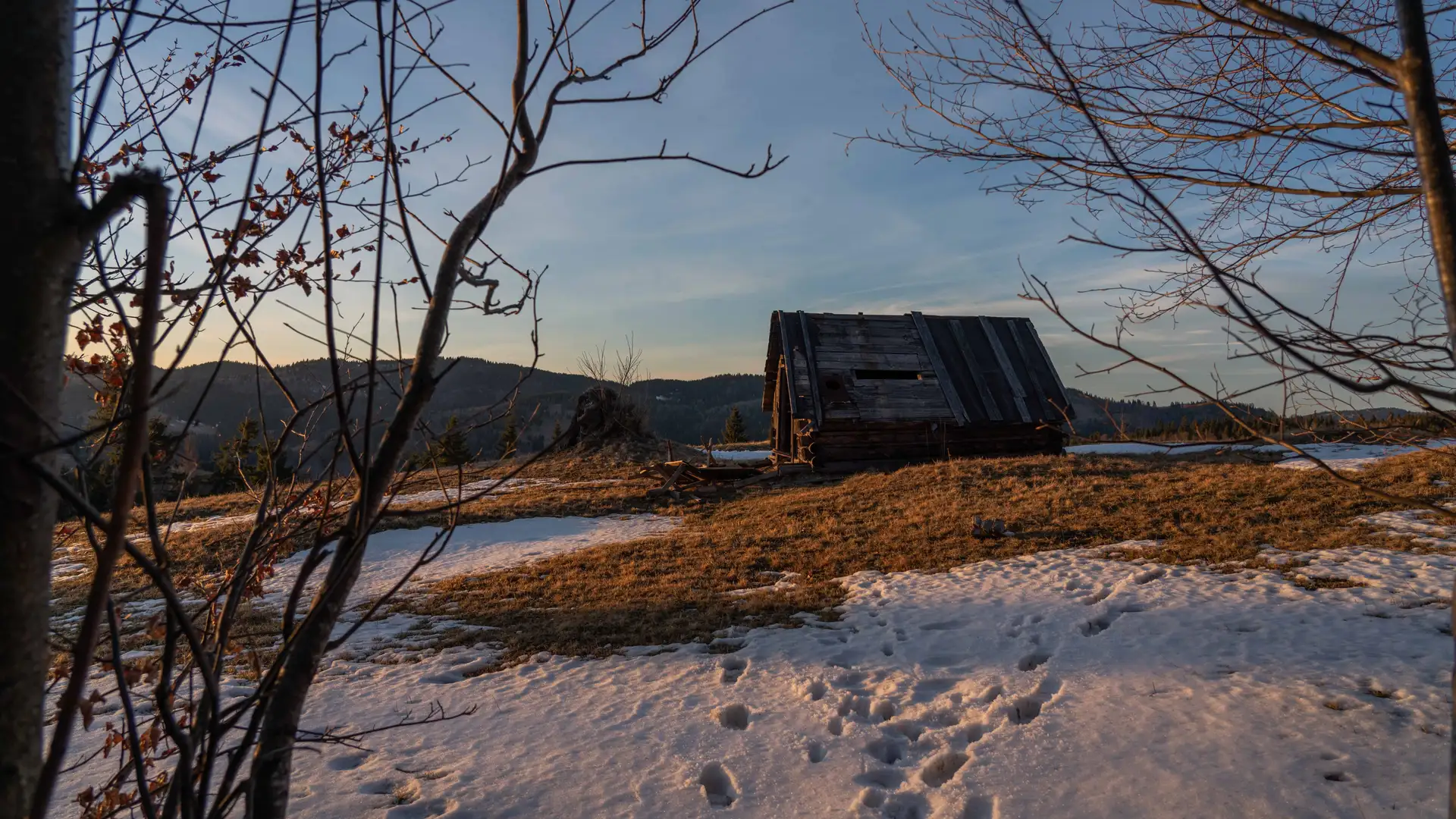 BITE: "Jack and the Robbers" by Ed Stivender