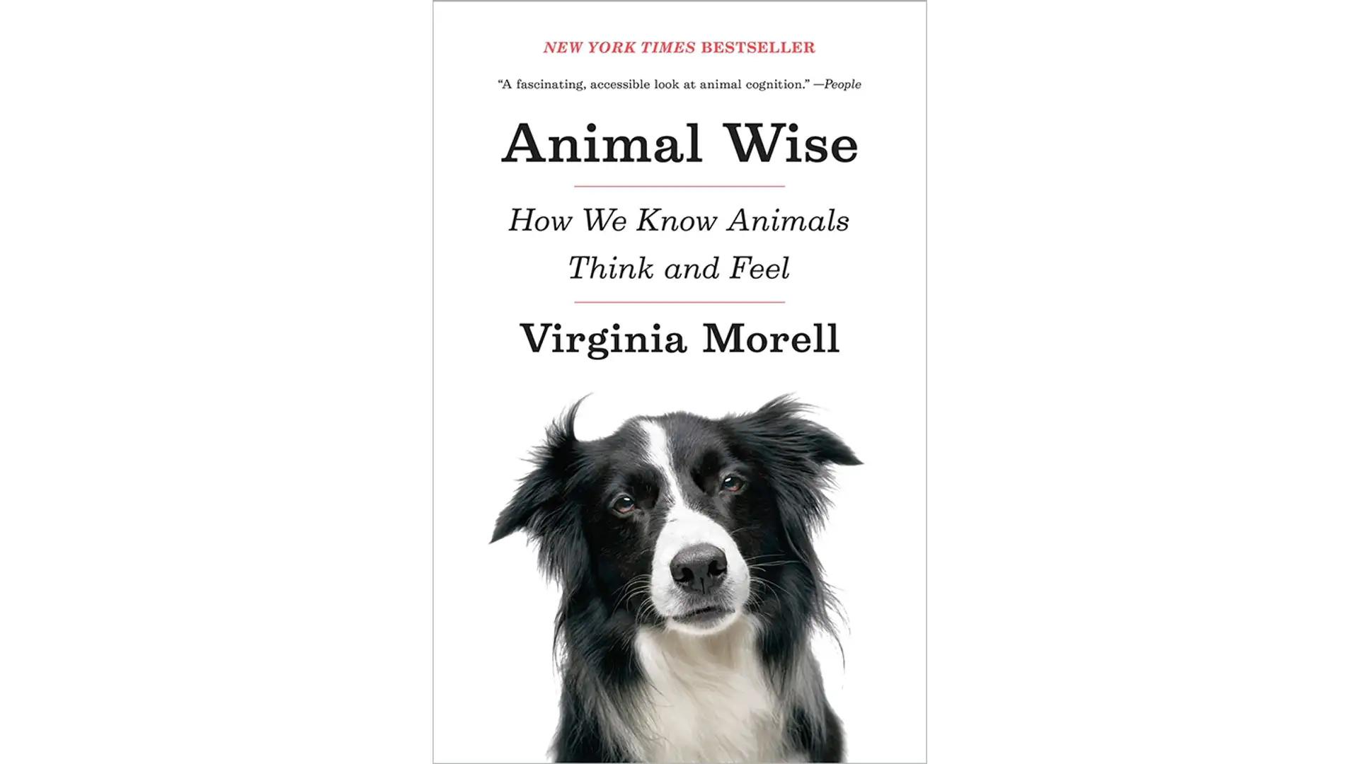 Animals Have Feelings, Too