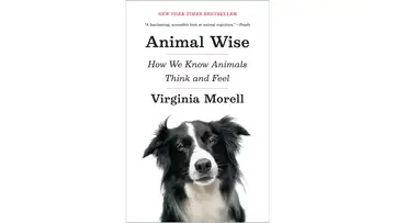 Animals Have Feelings, Too
