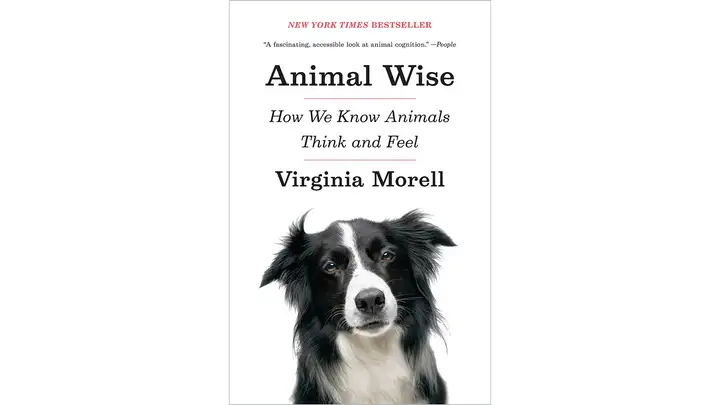 Animals Have Feelings, Too