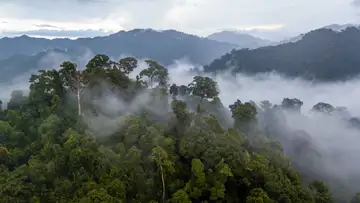 Lifesaving Secrets of the Natural World