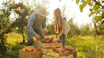 A Joyous Thanksgiving