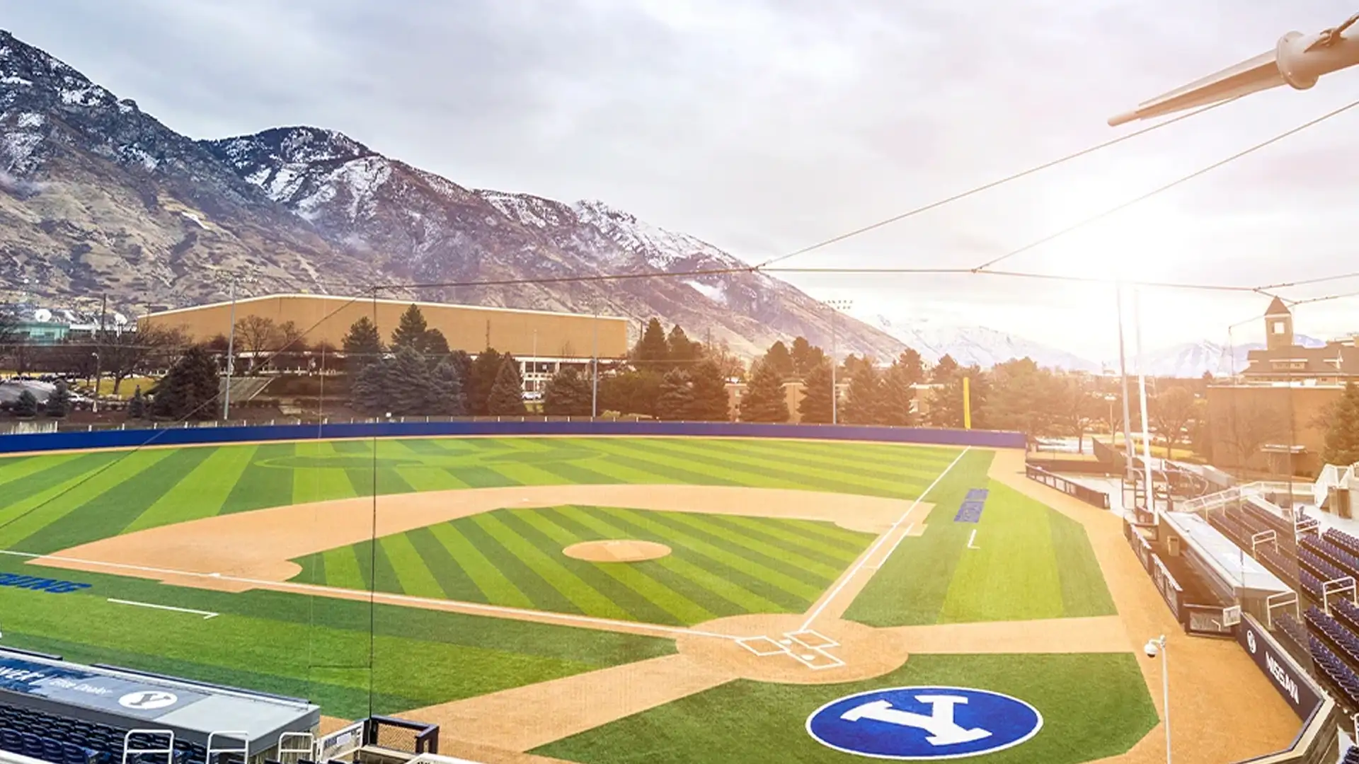 Cougars in the Headlines