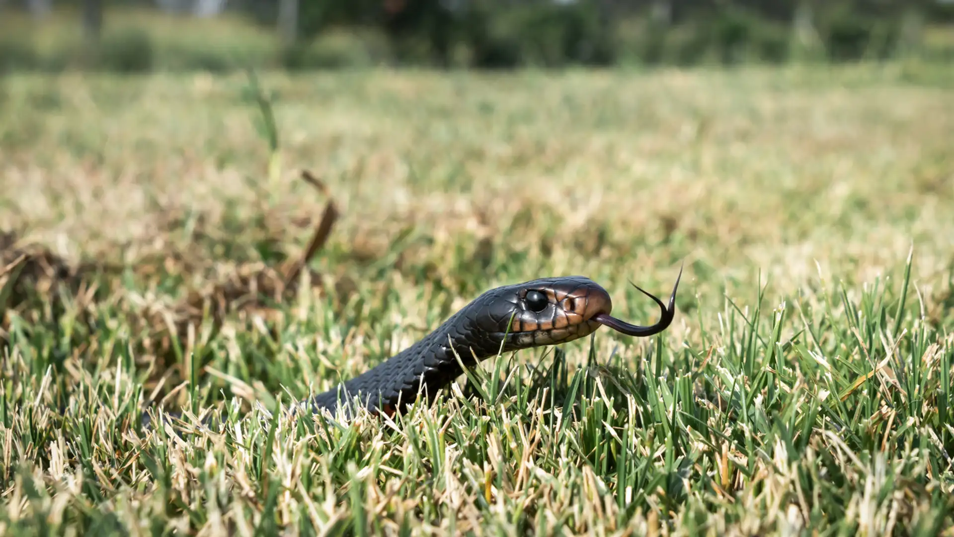 S1 E20: Lifesaving Fear