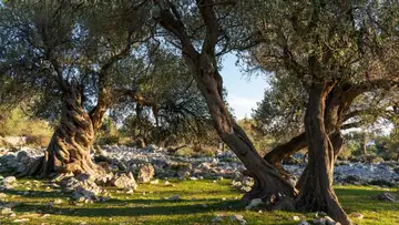Remembering Christ's Atonement