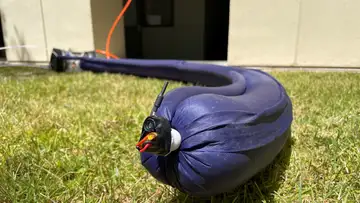 Vine Robots