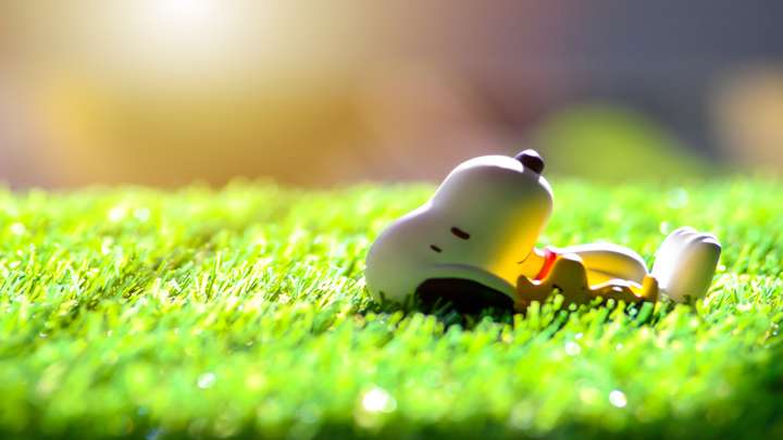 Amy Schulz Johnson on Growing Up with Charles M. Schulz