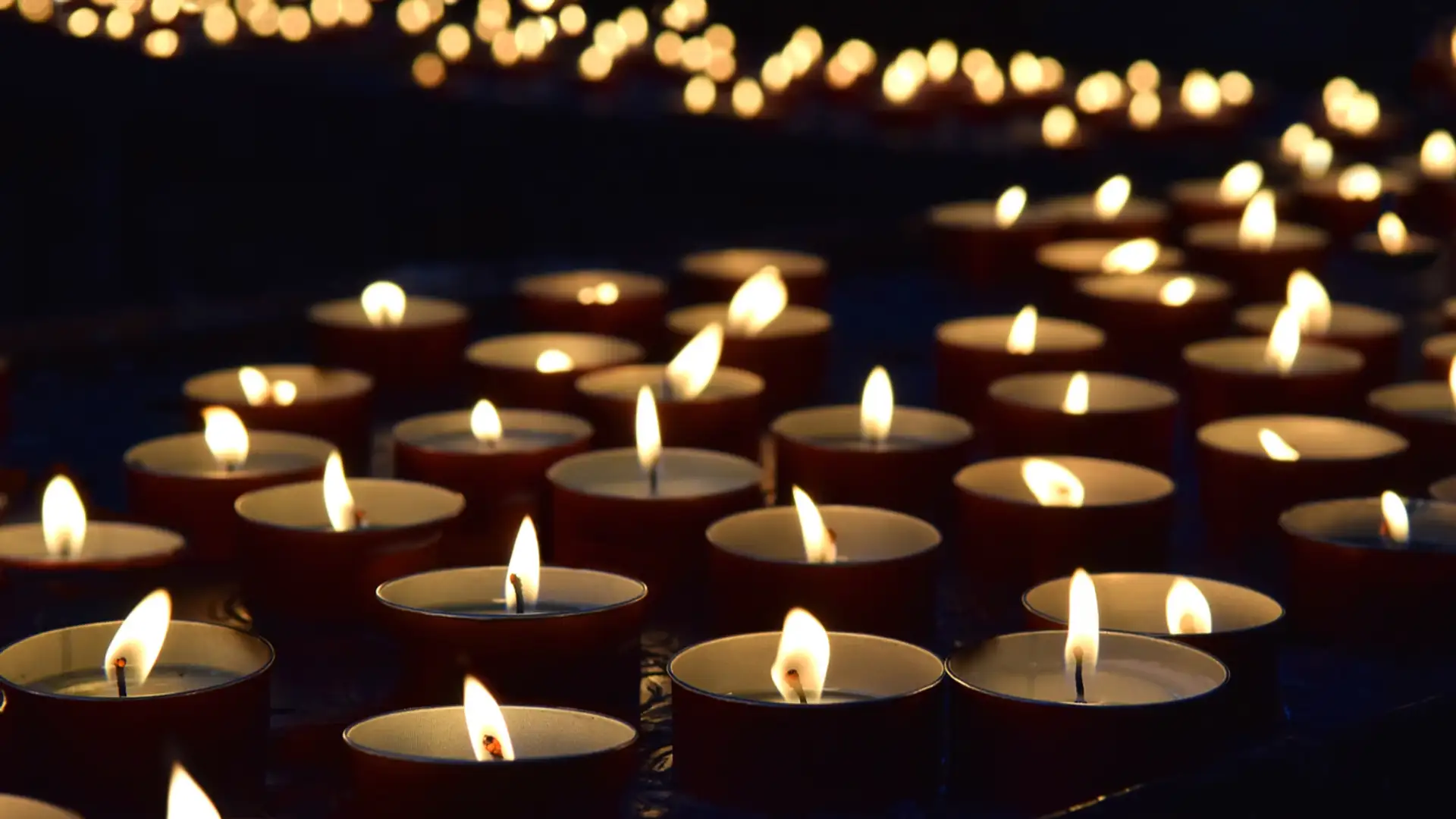 Remembering the Holocaust