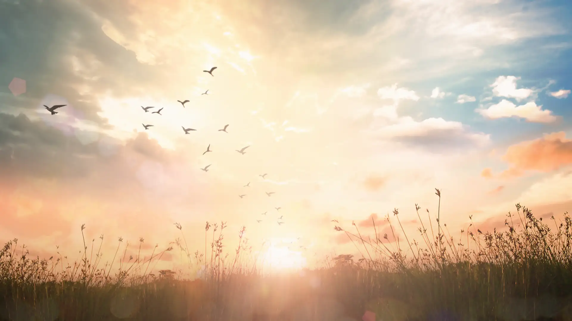 Joy Cometh in the Morning - Gayle Clegg