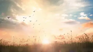 Joy Cometh in the Morning - Gayle Clegg