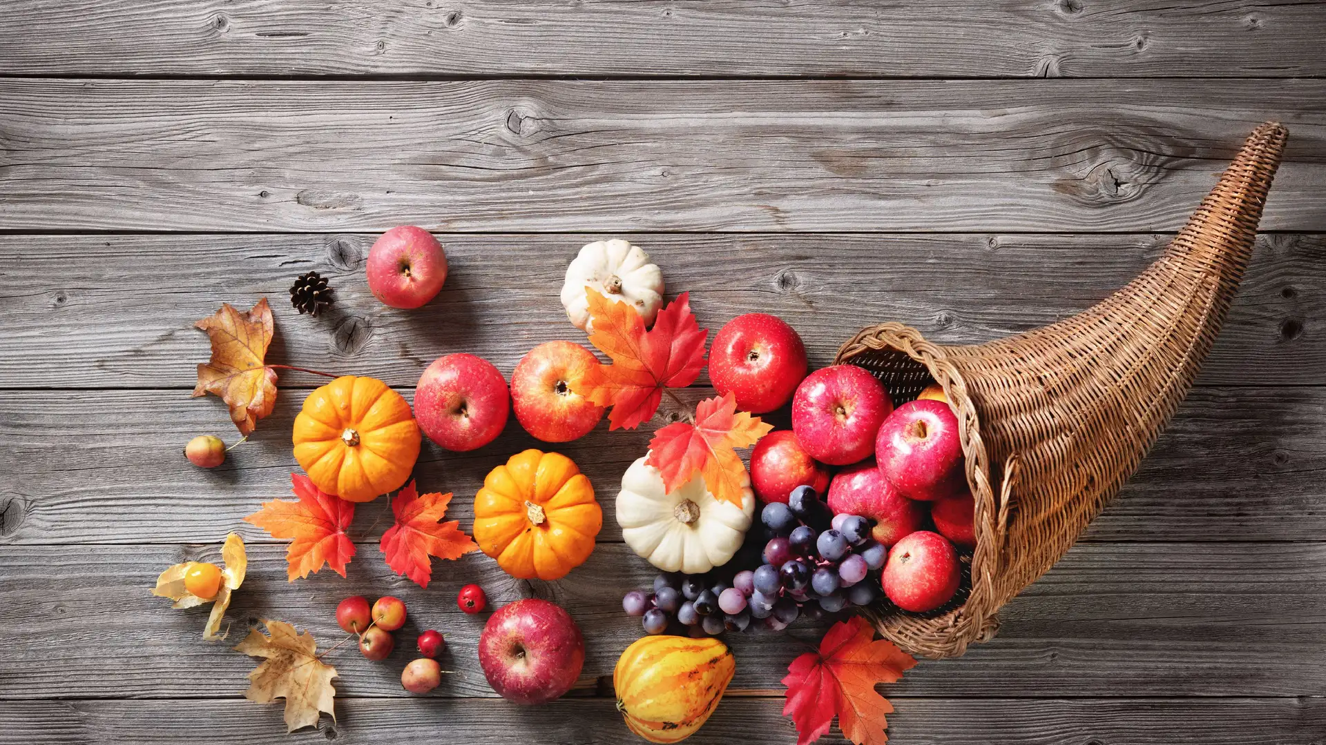 The Start of a New Gratitude Year