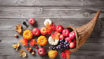 The Start of a New Gratitude Year