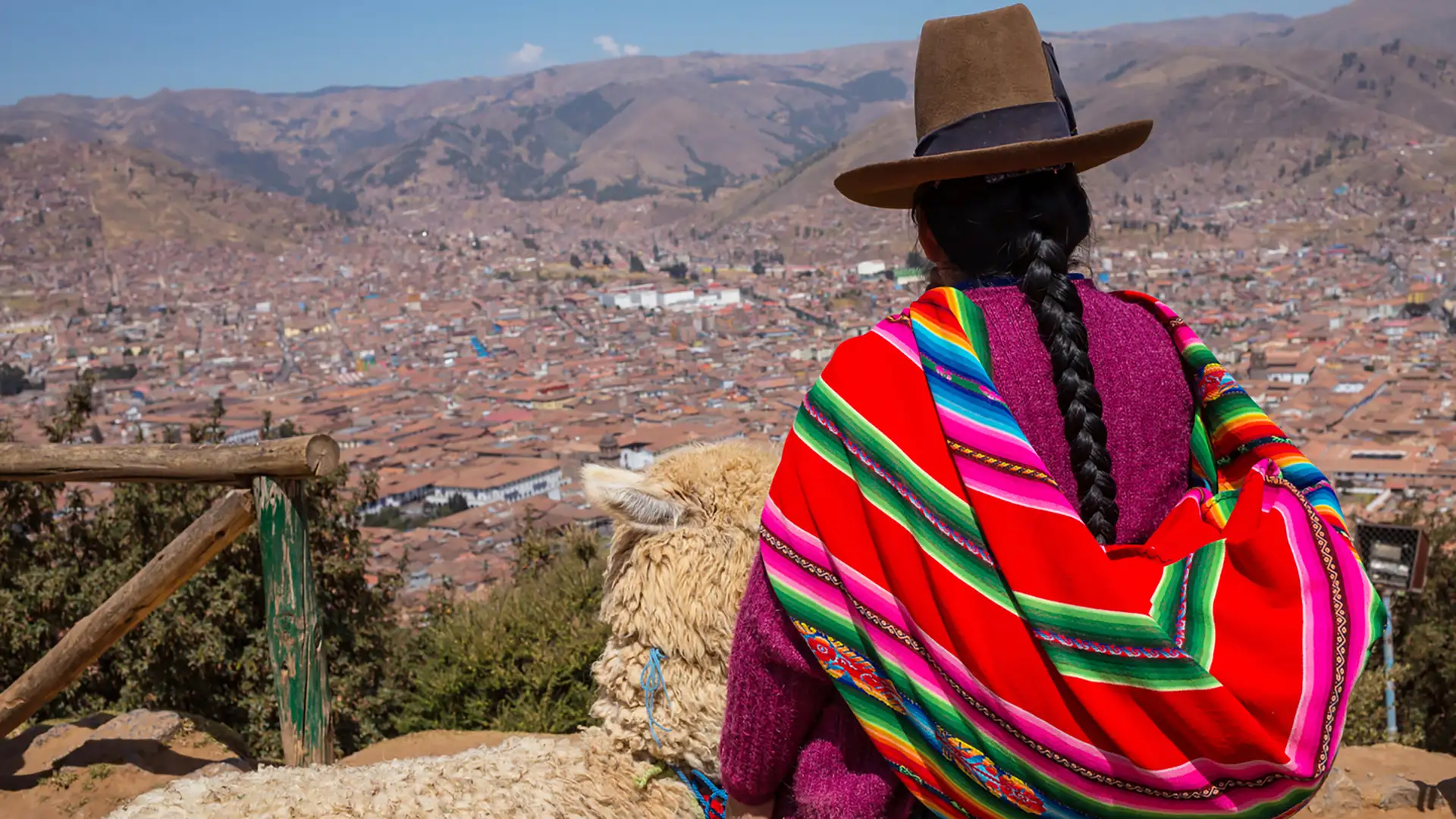 New Horizons, Organ Thieves, Iñapari