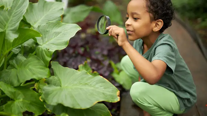 How To Teach Children Ecological Responsibility 