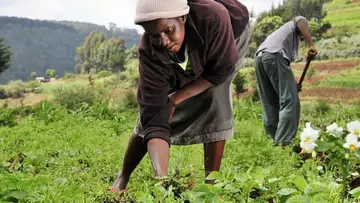 Eating with Health and the Environment in Mind