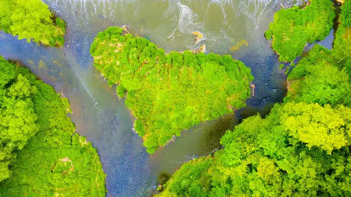 A New Heart