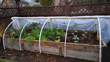 Tucking in Your Garden for the Winter