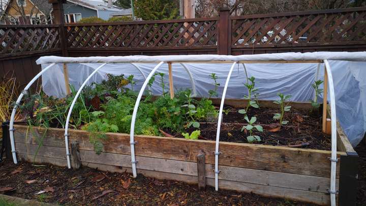 Tucking in Your Garden for the Winter
