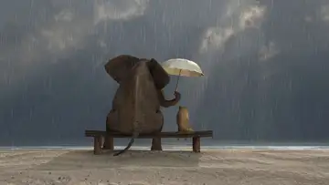 How the Animals Got Rain