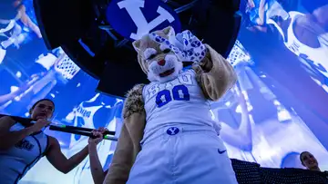 Today's Rise and Shoutout