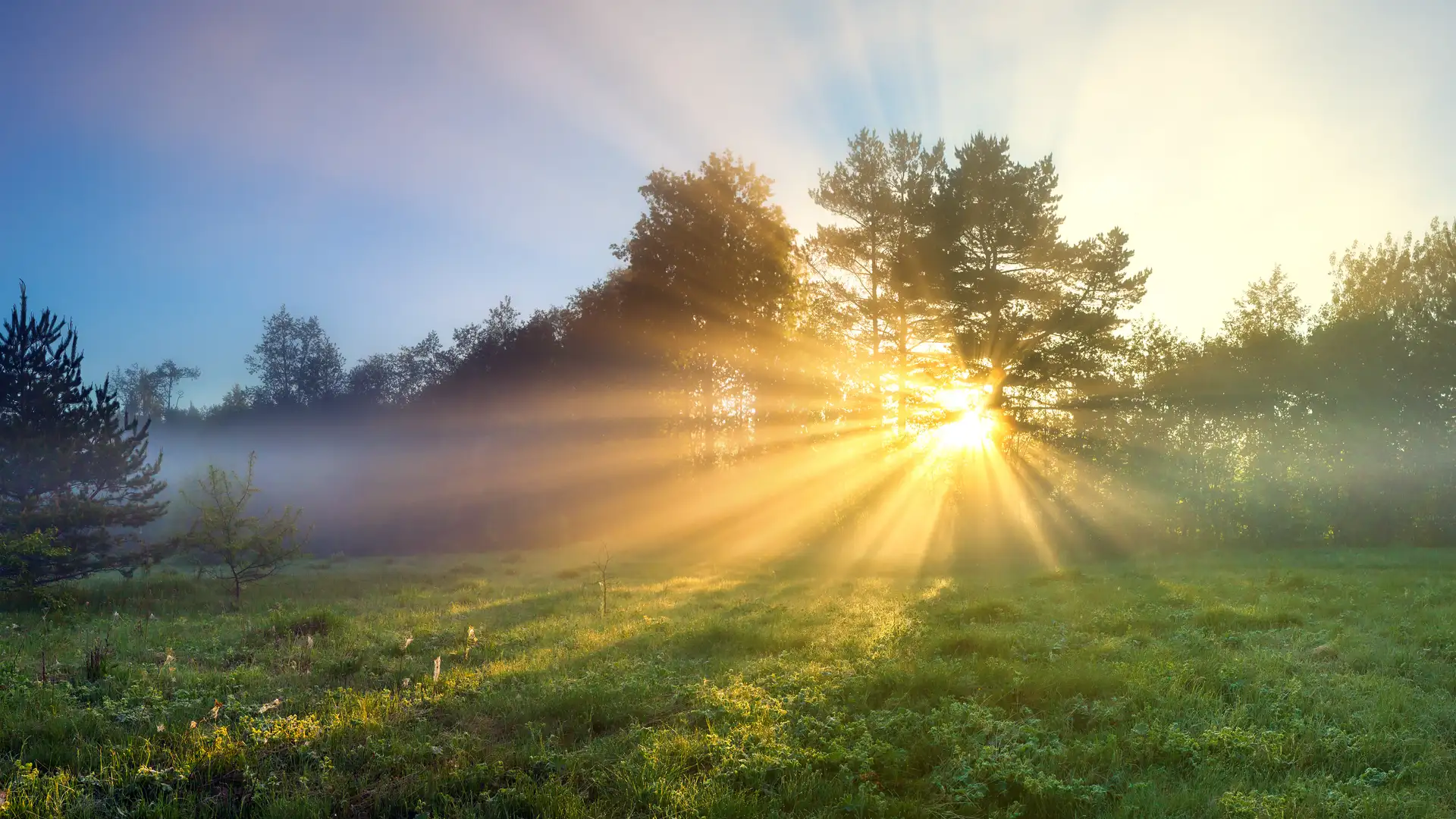 God's Shining Light