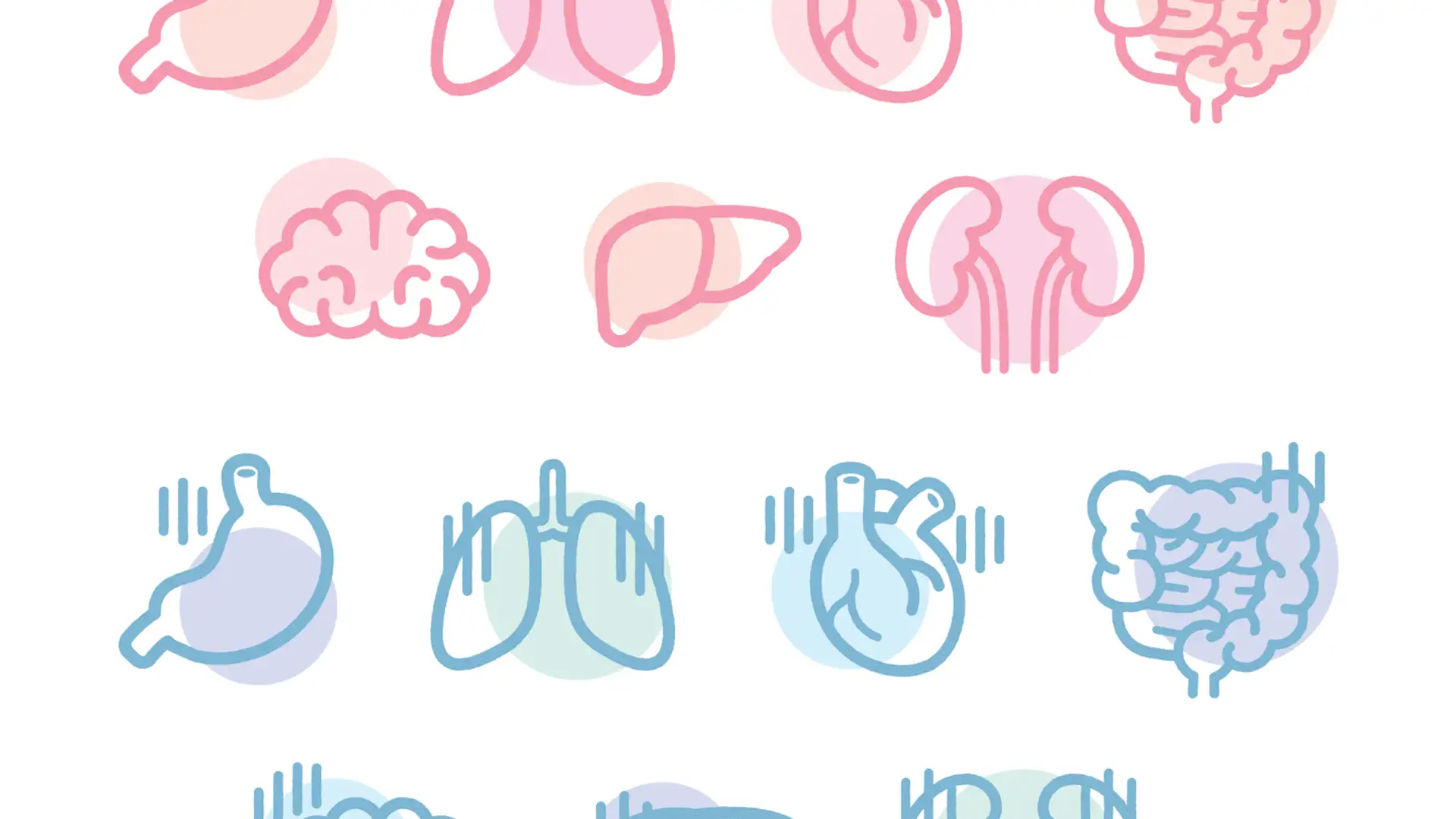 Lab-Grown Organs