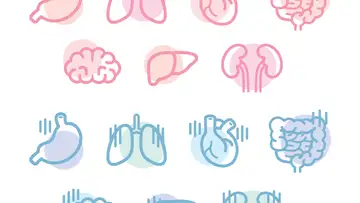 Lab-Grown Organs