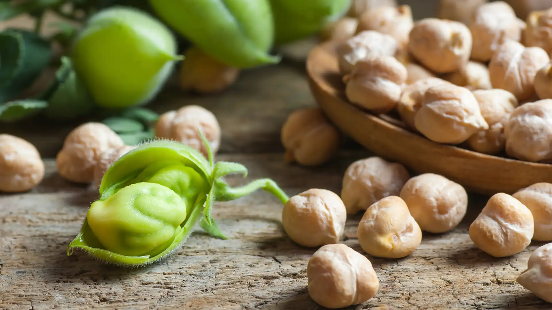 Chickpea Gene Editing