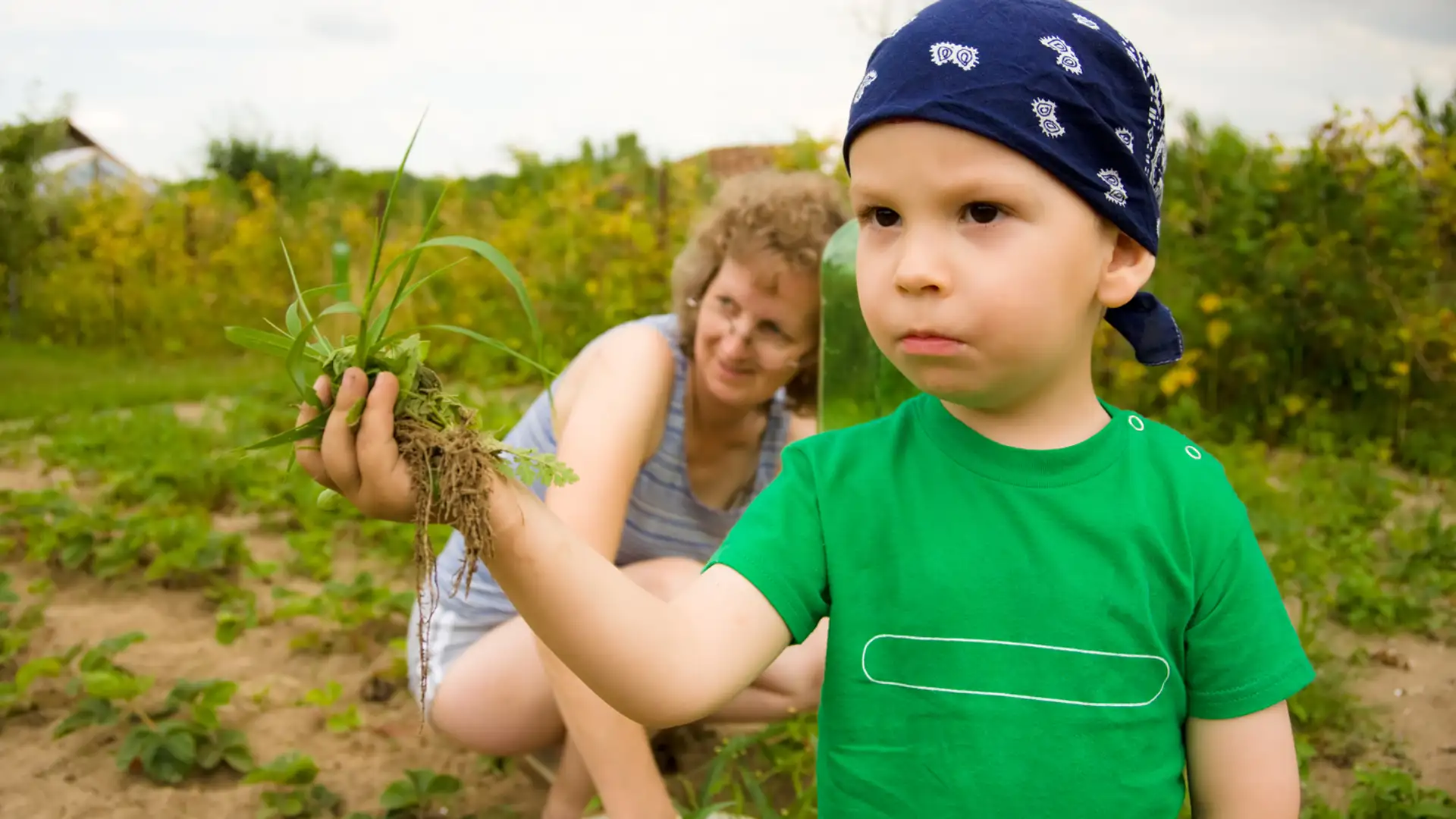 Life's Tests and Challenges