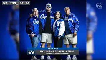 Cougar Whiparound 