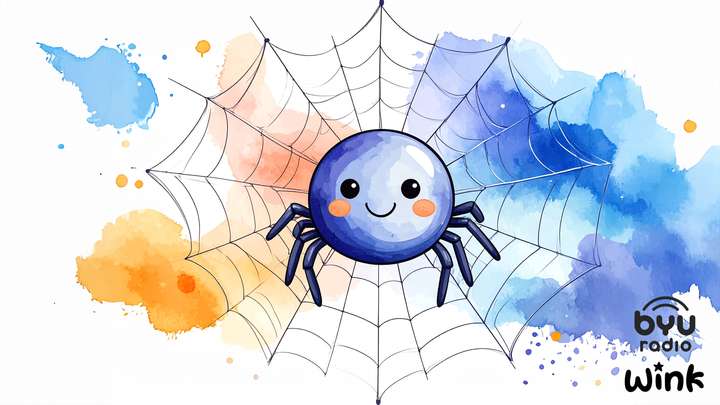 Little Spider's First Web