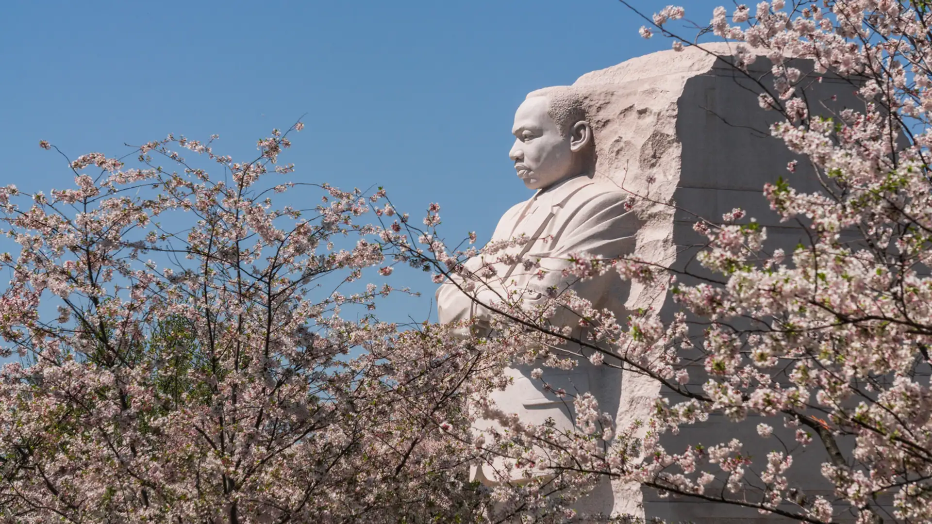 I Shall Not Be Moved