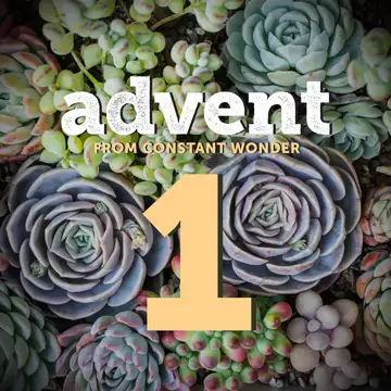 A Fresh Way to Celebrate Advent - December 1
