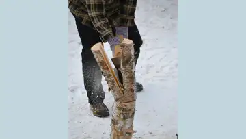 Wood Banks