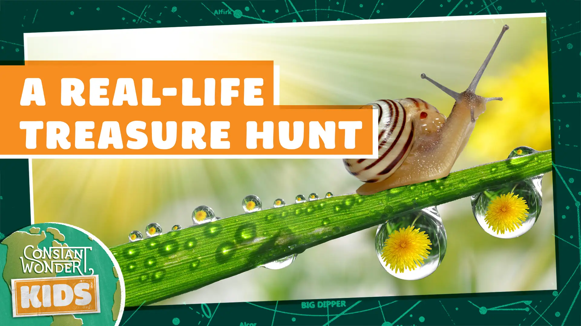 A Real-Life Treasure Hunt