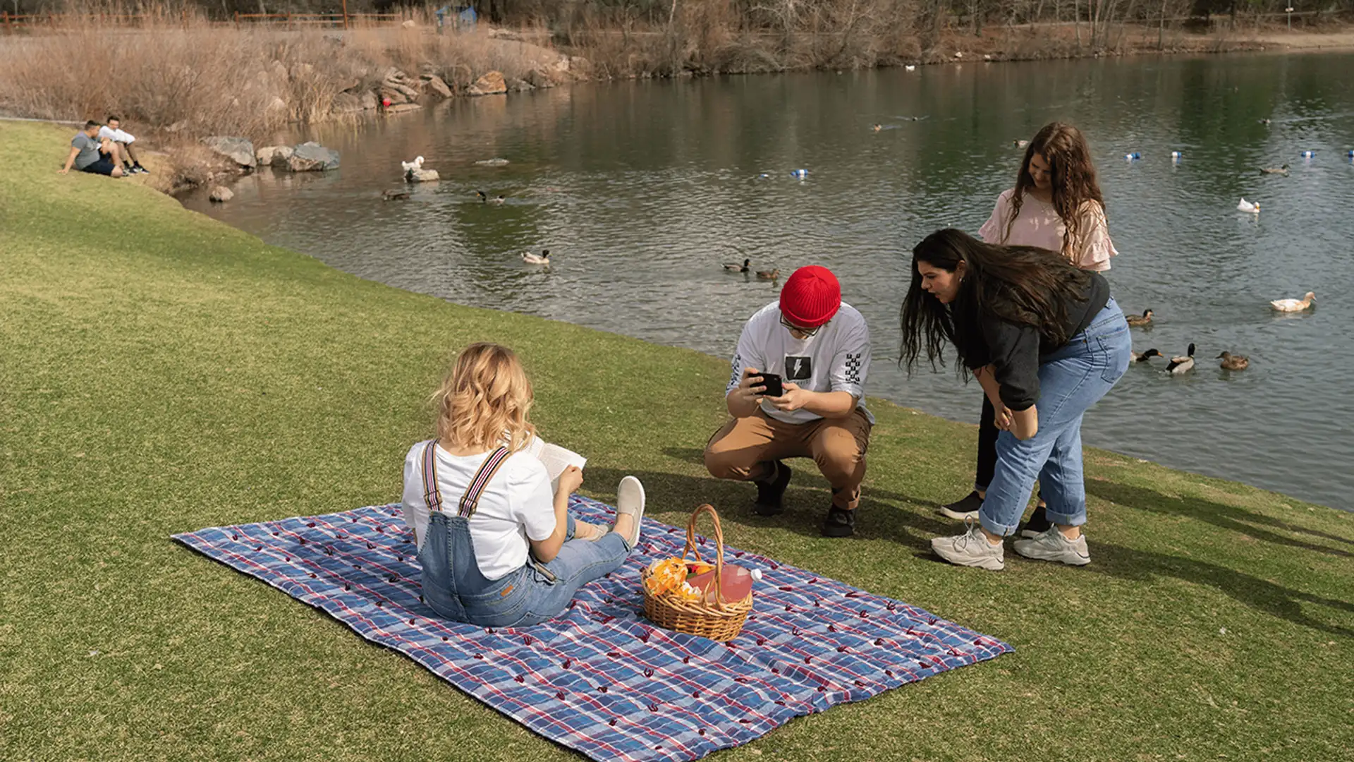 Tiny Cameras, Huge Stories