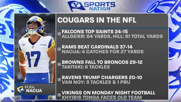 Cougar Whiparound 
