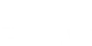 The Street Vet