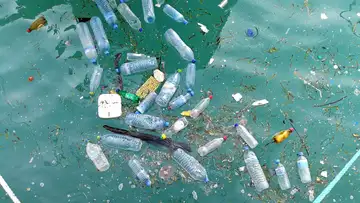 Trash Fishing