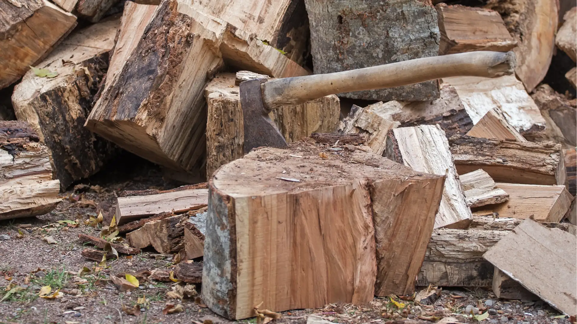 EXTRA: "The Missing Axe" by Odds Bodkin