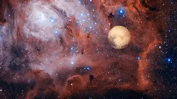 Life on Venus?