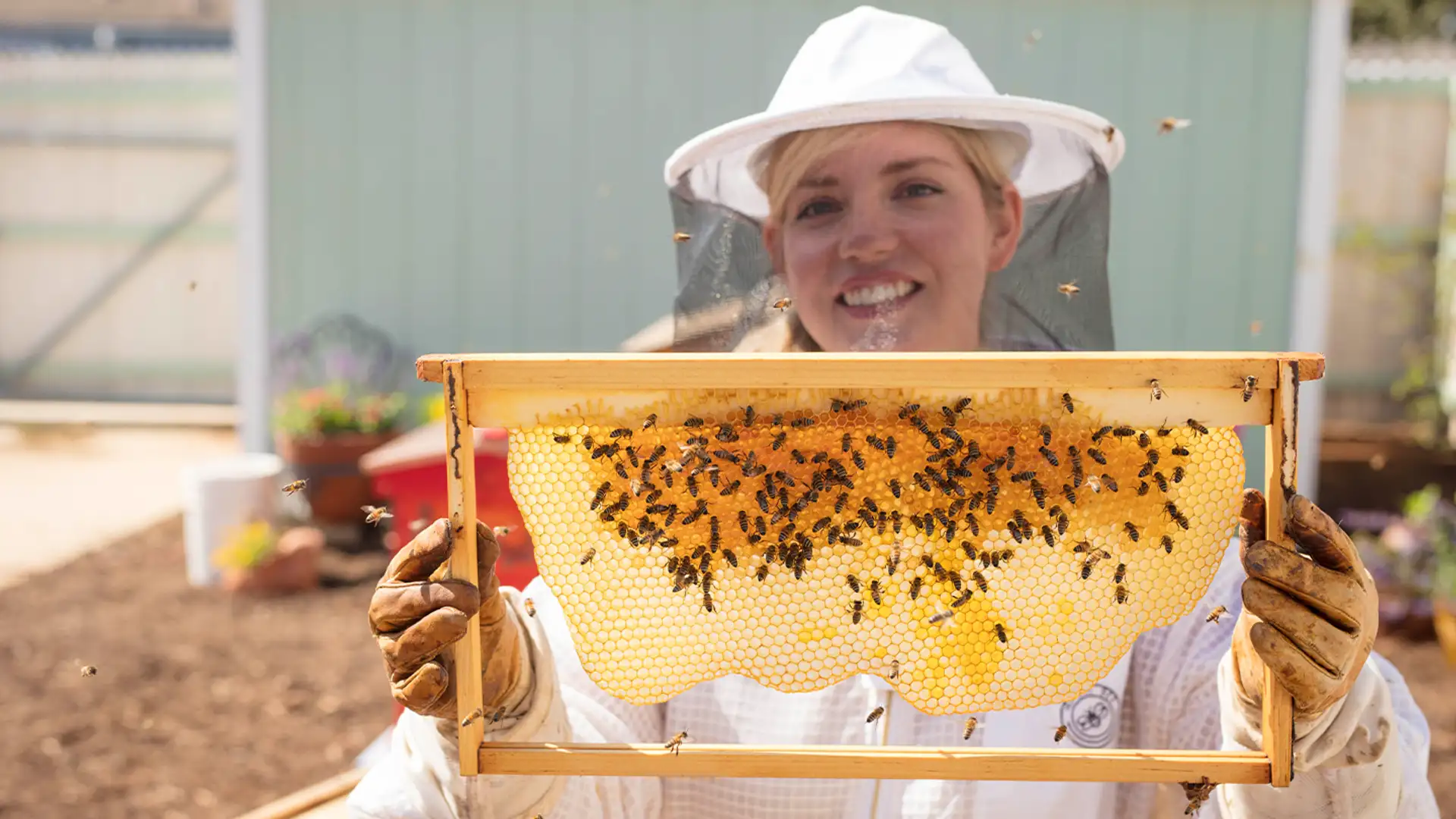 Backyard Beekeeping