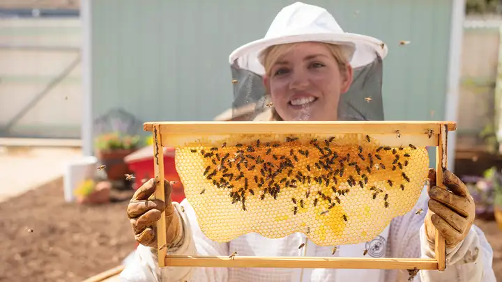 Backyard Beekeeping