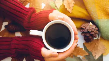 Fall Cozy Time