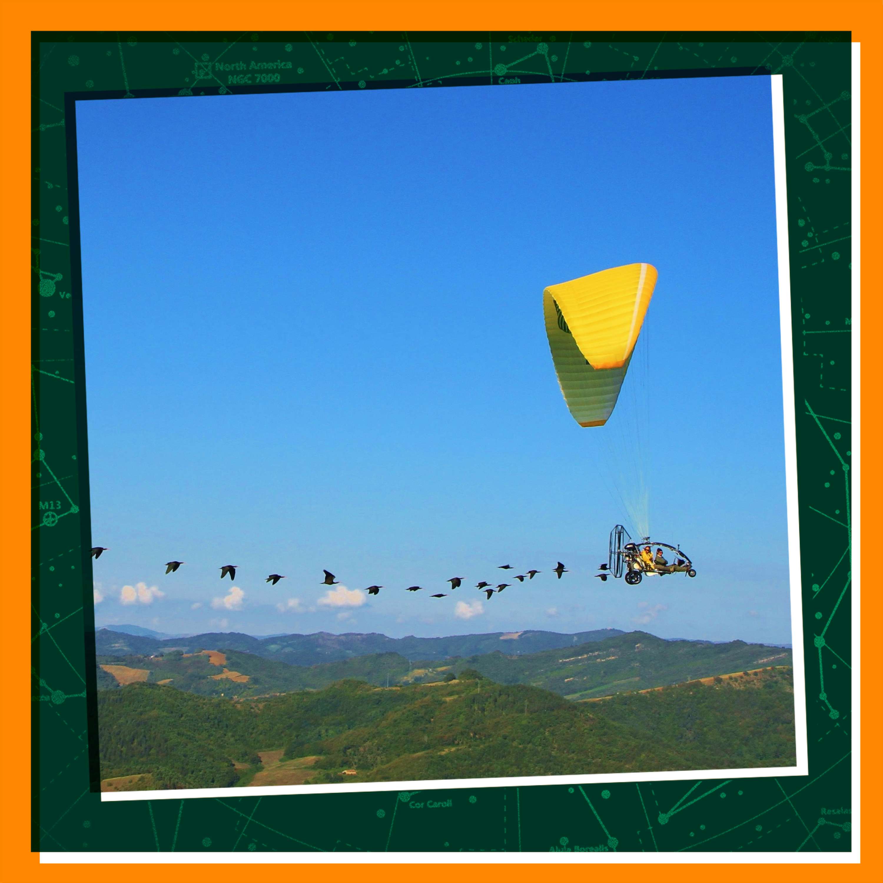 Guiding Migrating Birds Home