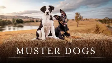 Muster Dogs